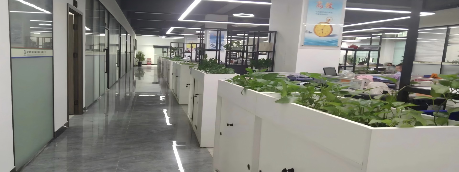 Qualität Plastikspritzen-Teile usine